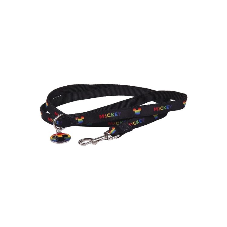 Product Disney Pride Dog Leash image
