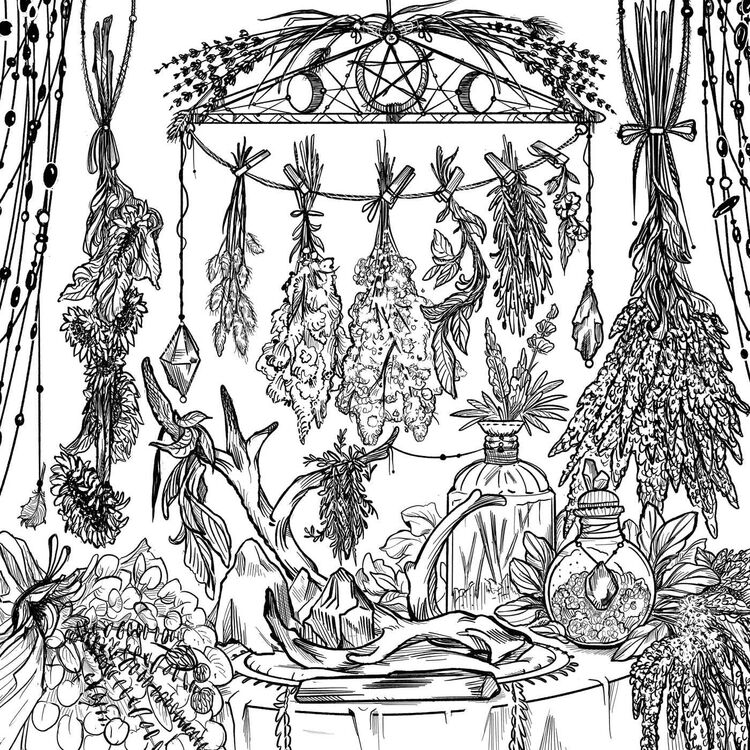 Product Green Witch Coloring Book image