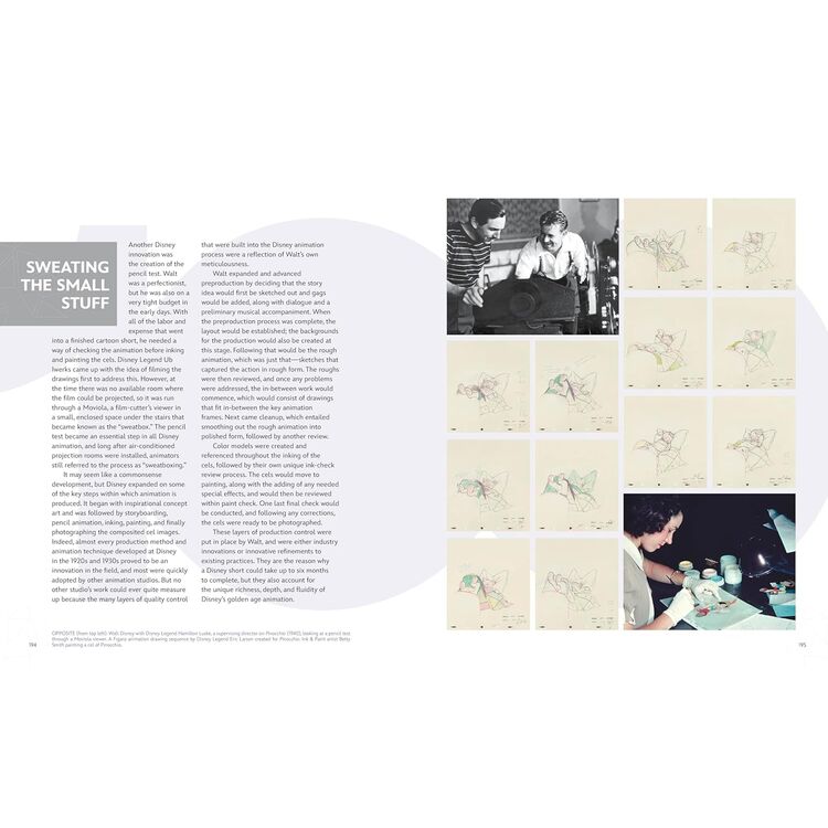 Product The Story of Disney: 100 Years of Wonder image