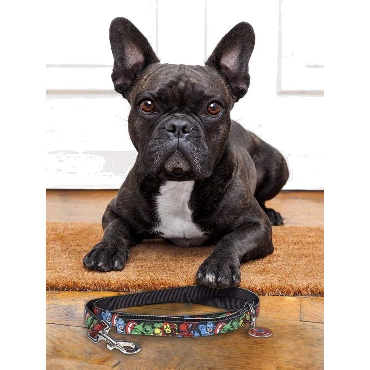 Product Marvel  Leash image