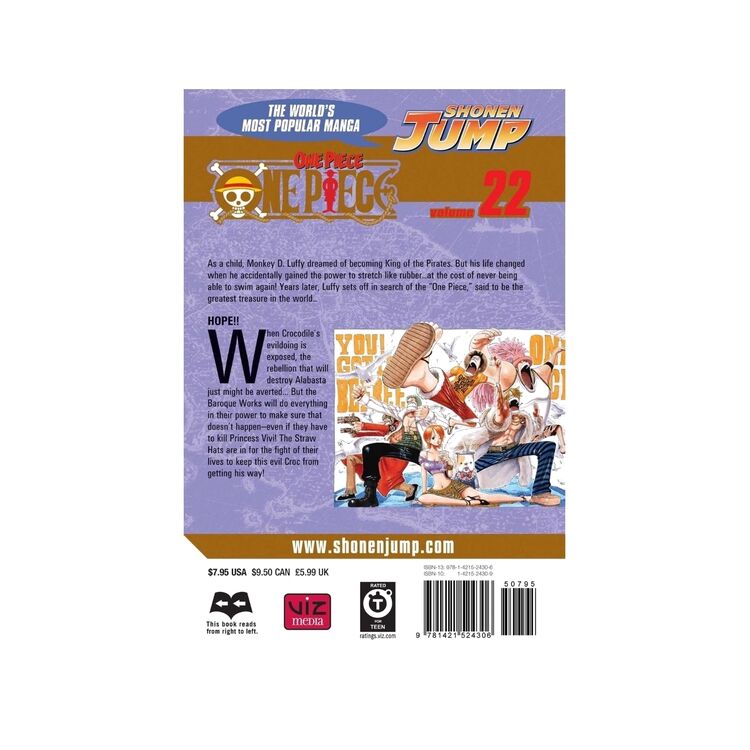 Product One Piece Vol.22 image