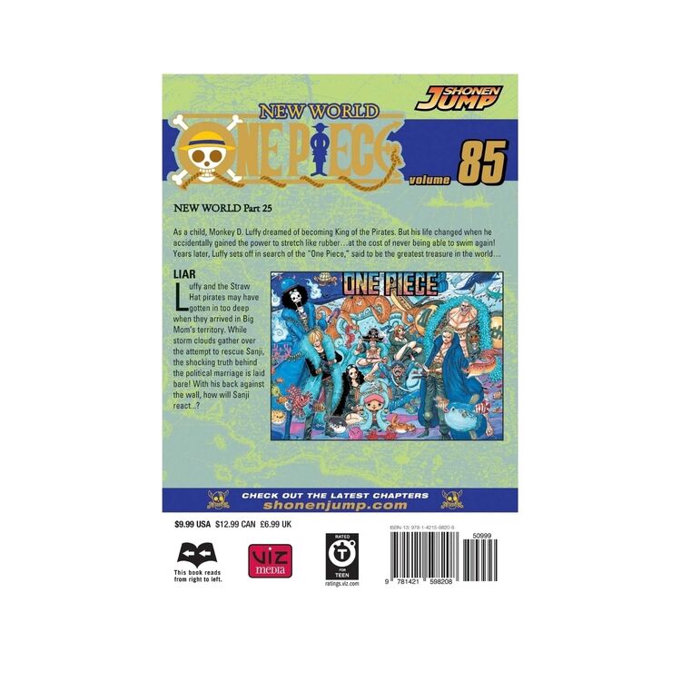 Product One Piece Vol.85 image