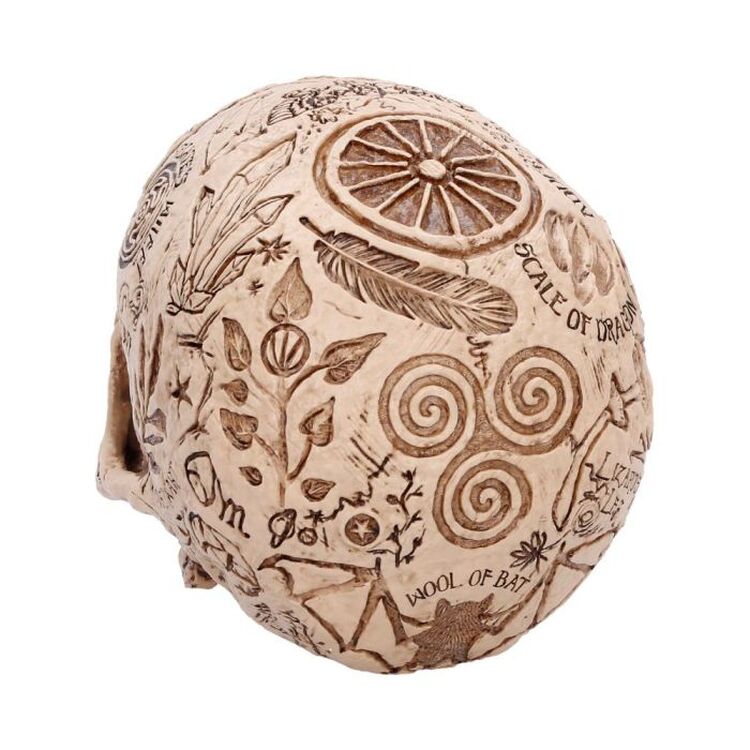 Product Φιγούρα Nemesis Now: Premium Quality - Apothecary Skull image