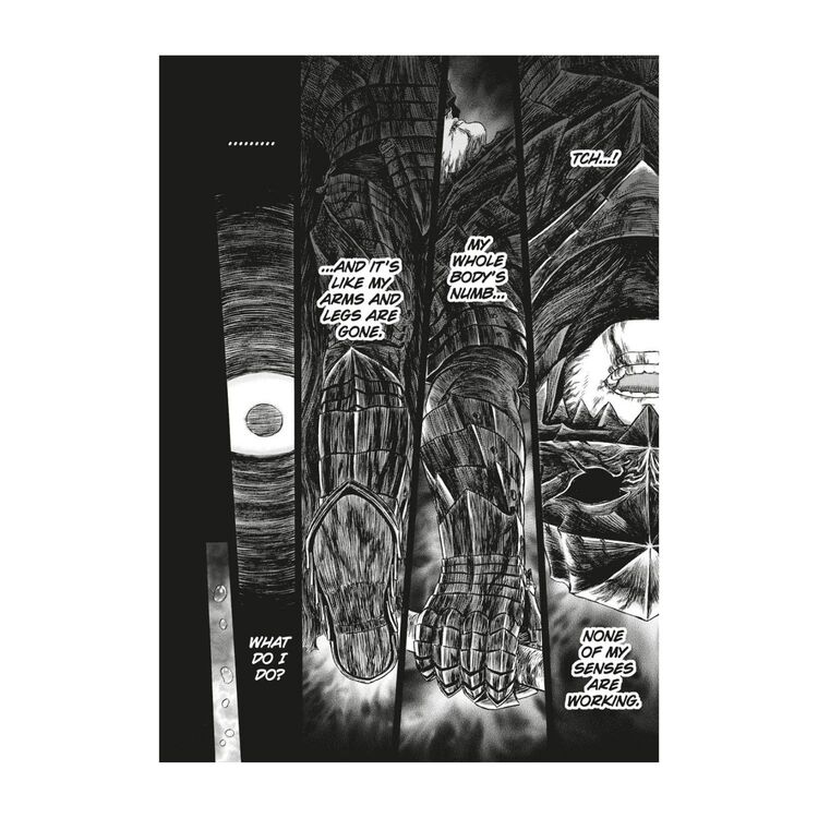 Product Berserk Deluxe Volume 13 image