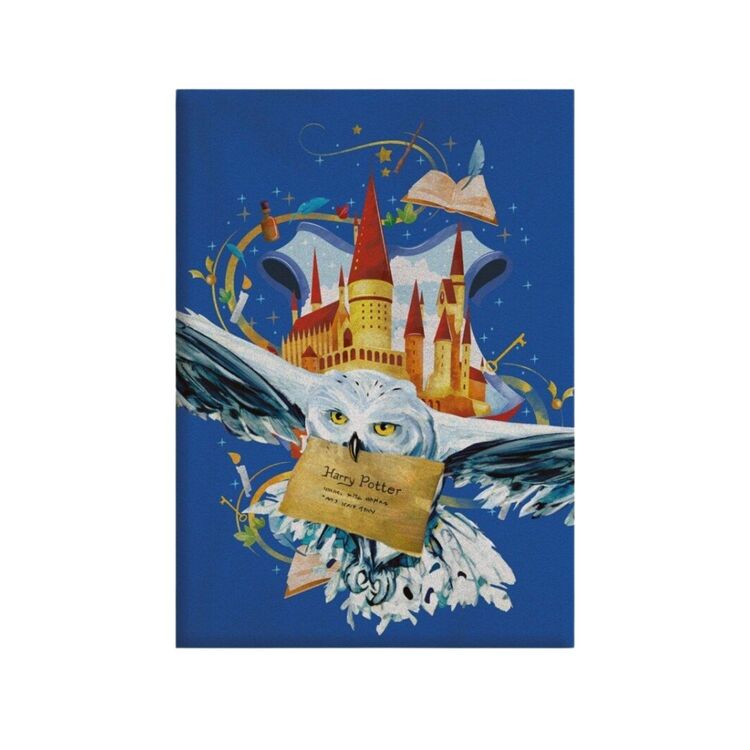 Product Κουβέρτα Harry Potter Hogwarts Owl image