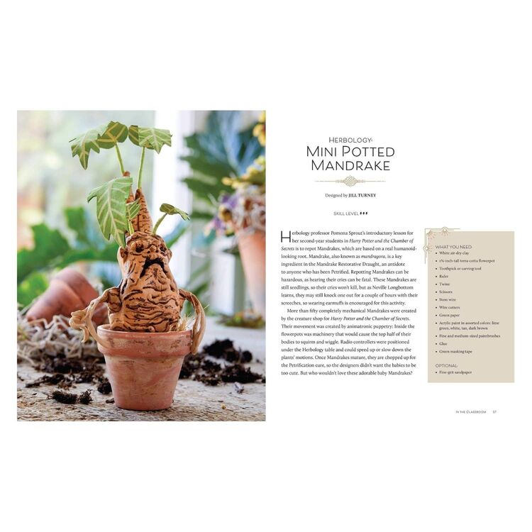 Product Harry Potter: Crafting Wizardry : The official Harry Potter Craft Book image