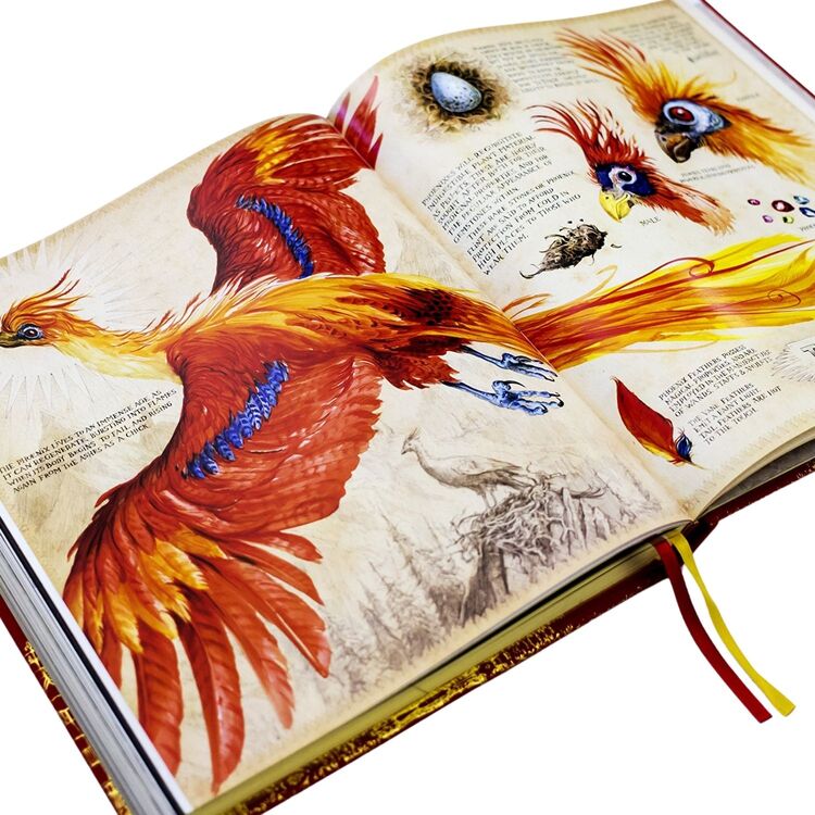 Product Harry Potter and the Chamber of Secrets : Deluxe Illustrated Slipcase Edition image