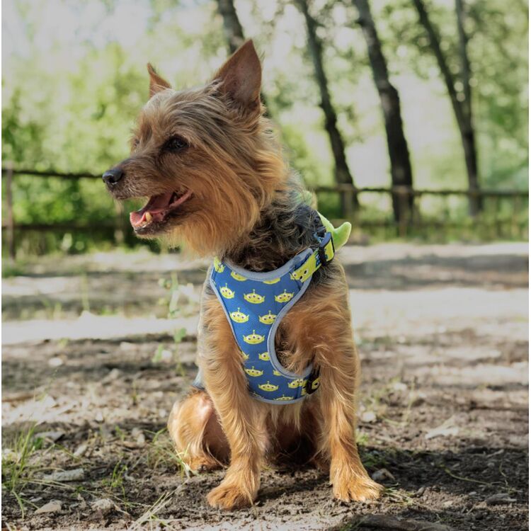 Product Toy Story Harness & Leash Set image