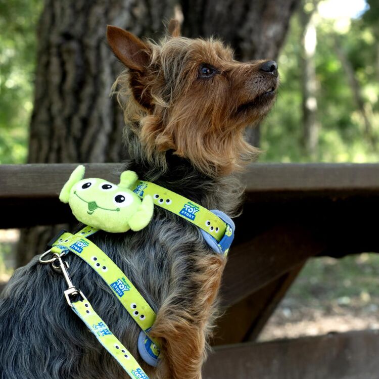 Product Toy Story Harness & Leash Set image