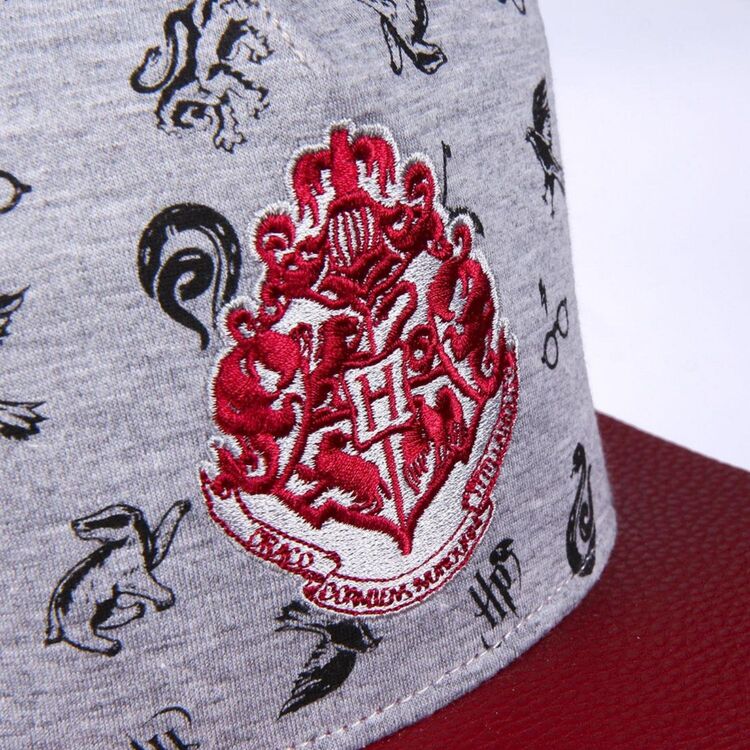Product Harry Potter Flat Peak Cap image