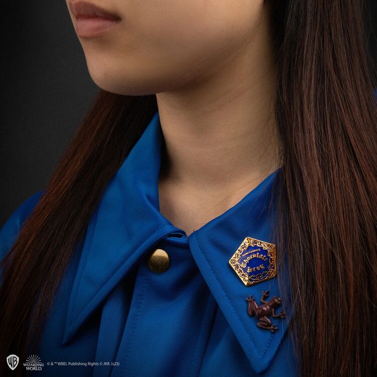 Product Καρφίτσα Harry Potter Pin Badge Chocolate Frog image
