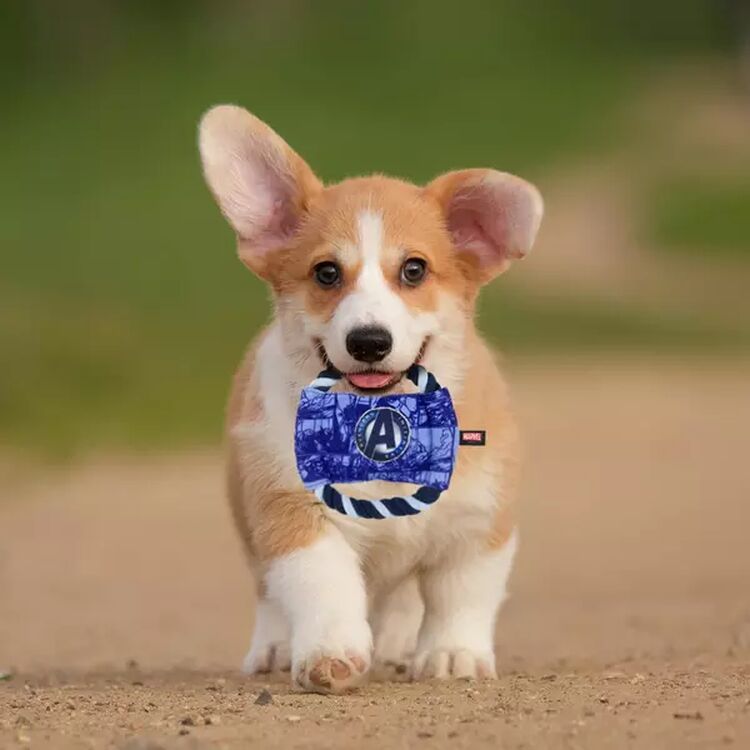 Product Παιχνίδι Σκύλου Marvel Avengers Toy image