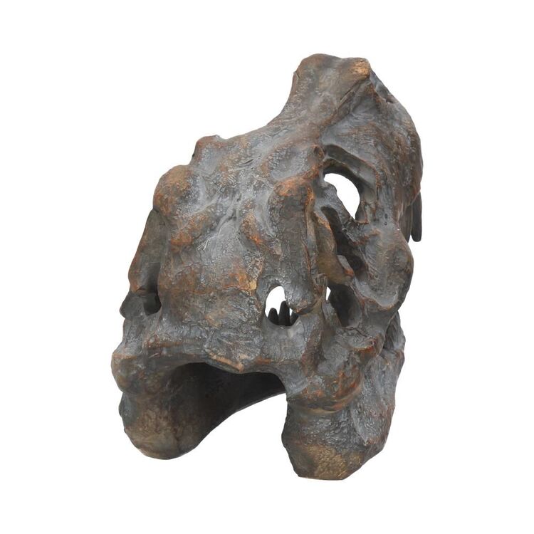 Product Nemesis Now: Tyrannosaurus - Rex Skull Freestanding (16cm) (D1245D5) image
