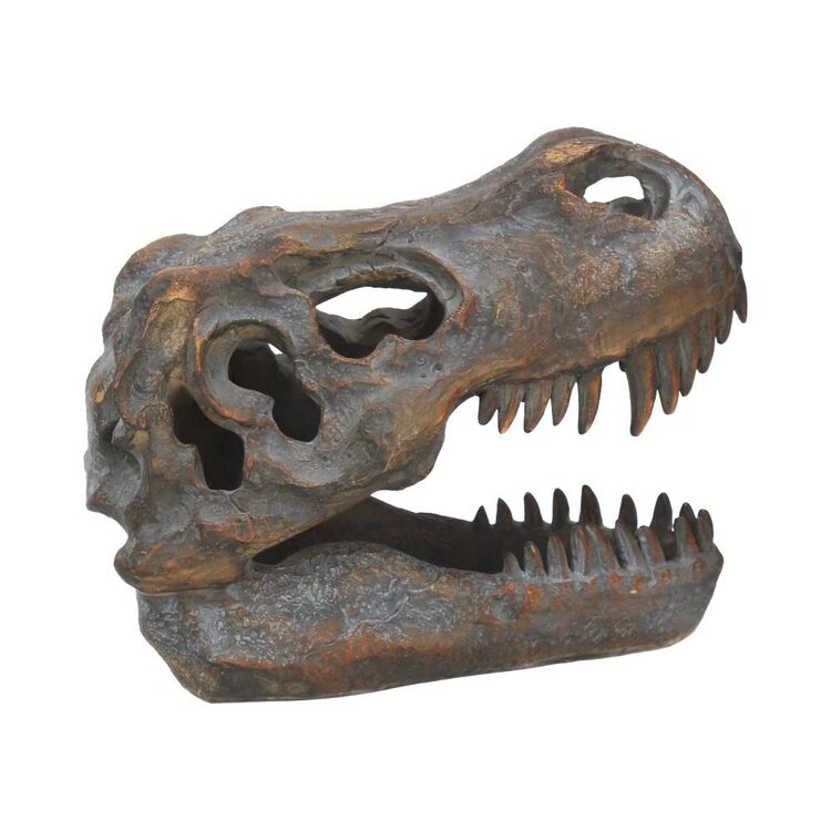 Product Nemesis Now: Tyrannosaurus - Rex Skull Freestanding (16cm) (D1245D5) image