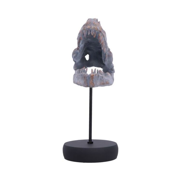 Product Φιγούρα Nemesis Now: Tyrannosaurus Rex Skull on Plinth image