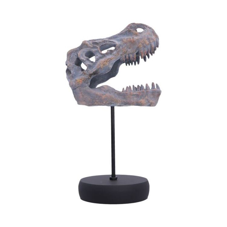 Product Φιγούρα Nemesis Now: Tyrannosaurus Rex Skull on Plinth image