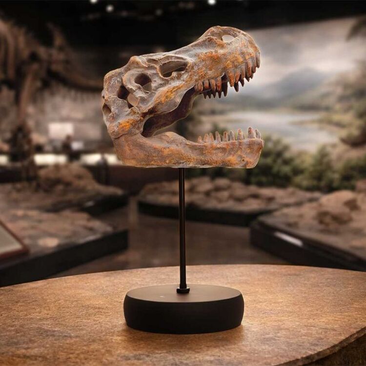 Product Φιγούρα Nemesis Now: Tyrannosaurus Rex Skull on Plinth image