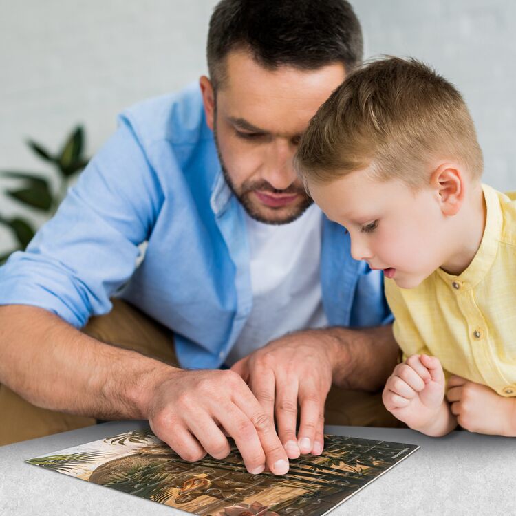 Product DS1042H Triceratops image