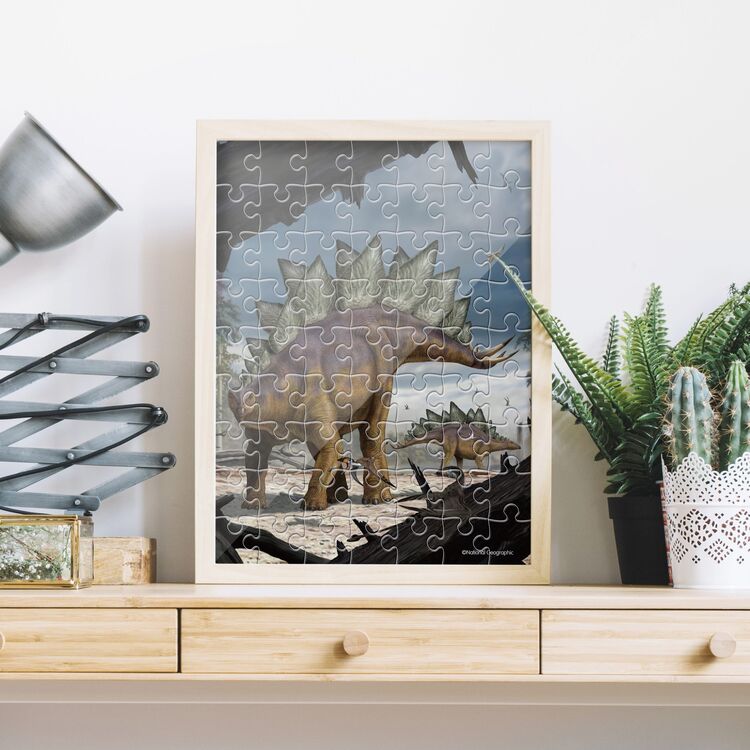 Product 3D Puzzle DS1043H Stegosaurus image