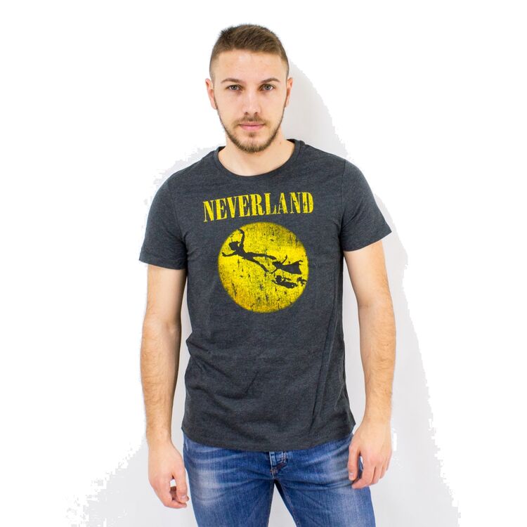 Product Disney Peter Pan Neverland Mens T-Shirt image