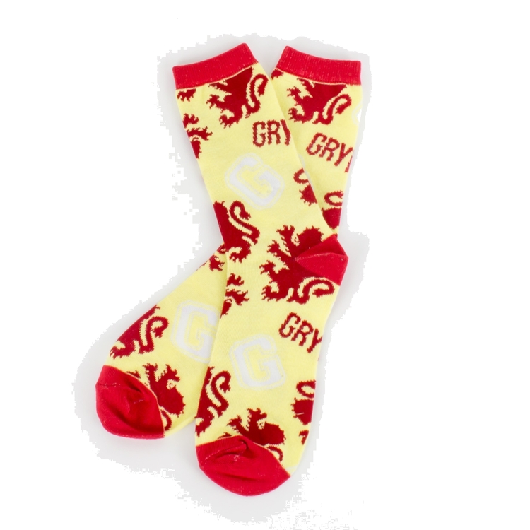 Product Harry Potter Gryffindor Socks image