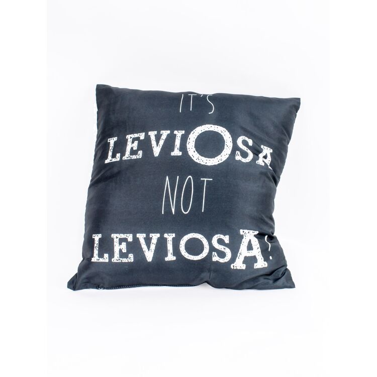 Product Harry Potter Cushion Leviosa  image