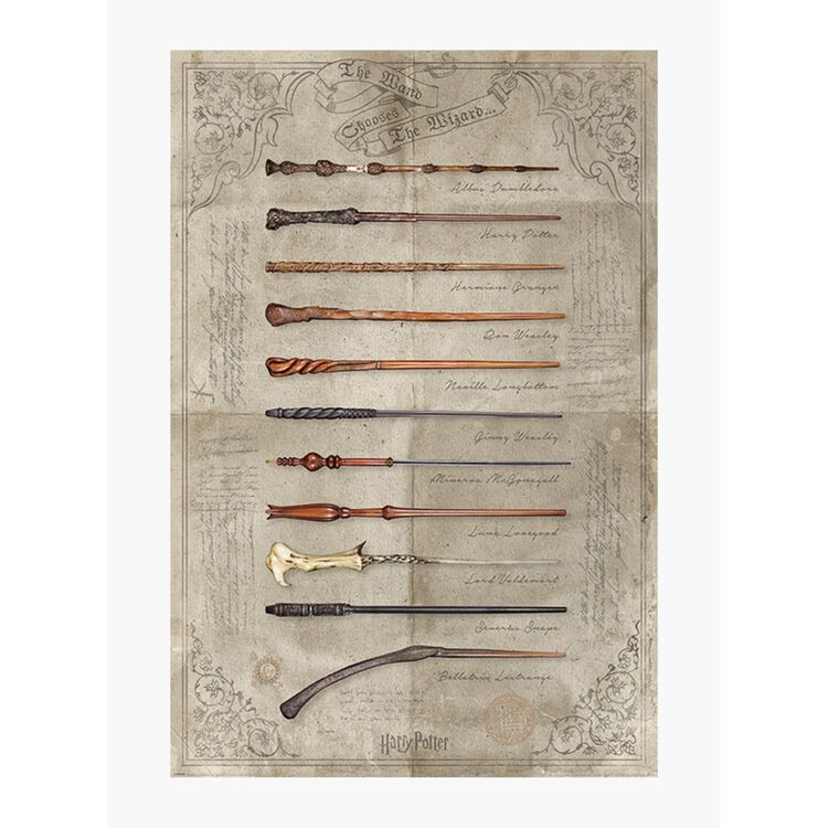 Product Harry Potter The Wand Chooses the Wizard Poster image