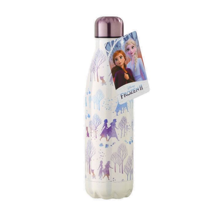 Product Disney Frozen 2 Fearless Metal Water Bottle image
