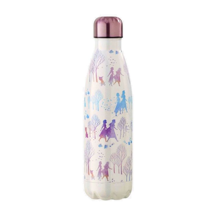 Product Disney Frozen 2 Fearless Metal Water Bottle image