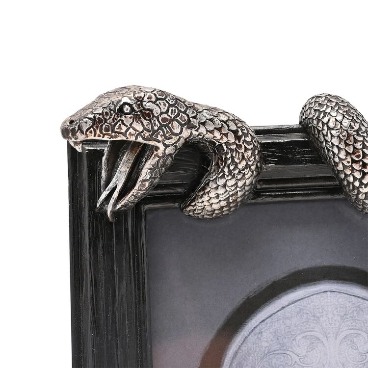 Product Κάδρο Harry Potter Dark Arts Nagini image