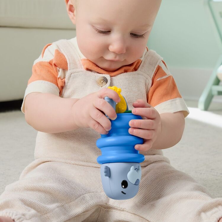 Product Fisher-Price: Squishseas Silicone - Walrus Rattle (JHB56) image