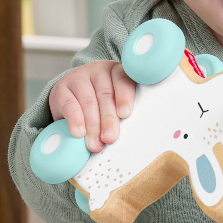 Product Fisher-Price®: Wooden Push-Along Bunny (JDM52) image