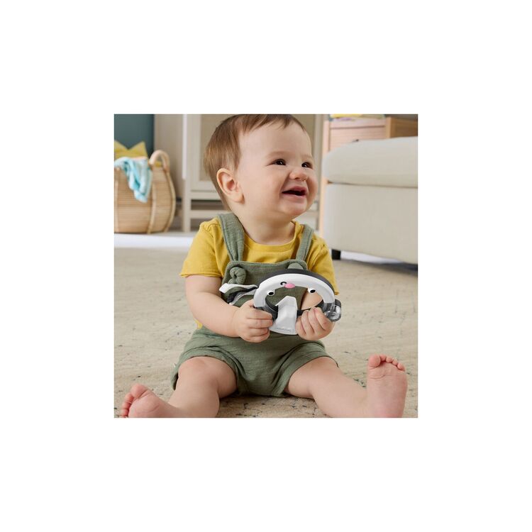 Product Fisher Price® Stinkin' Cute Skunk Activity Ring (JKW57) image