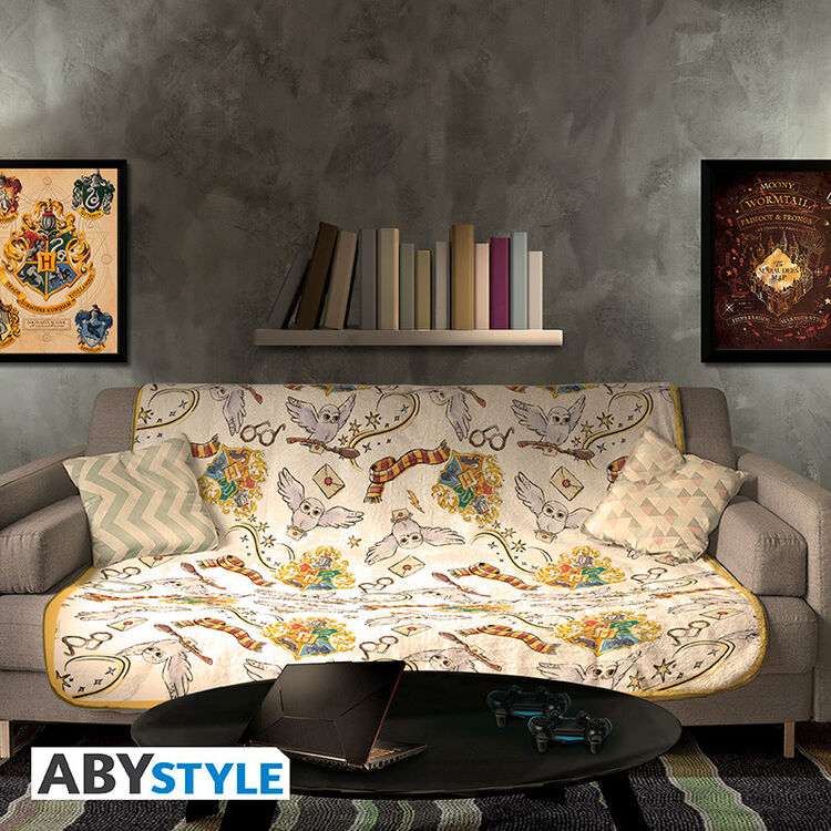 Product Harry Potter Blanket Harry's World image