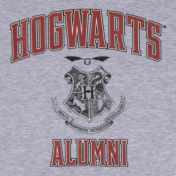 Product Φούτερ Harry Potter Hogwarts Alumni Zipper image