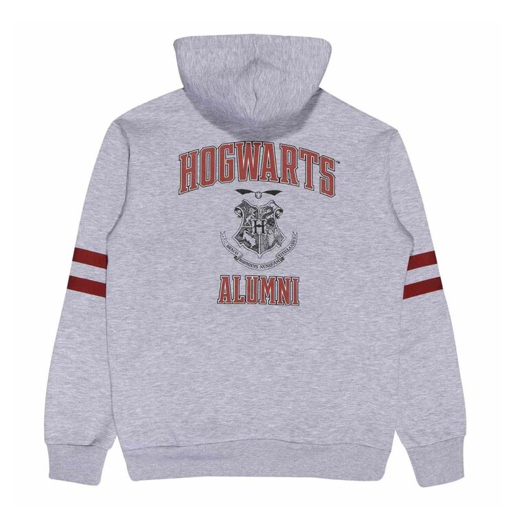 Product Φούτερ Harry Potter Hogwarts Alumni Zipper image