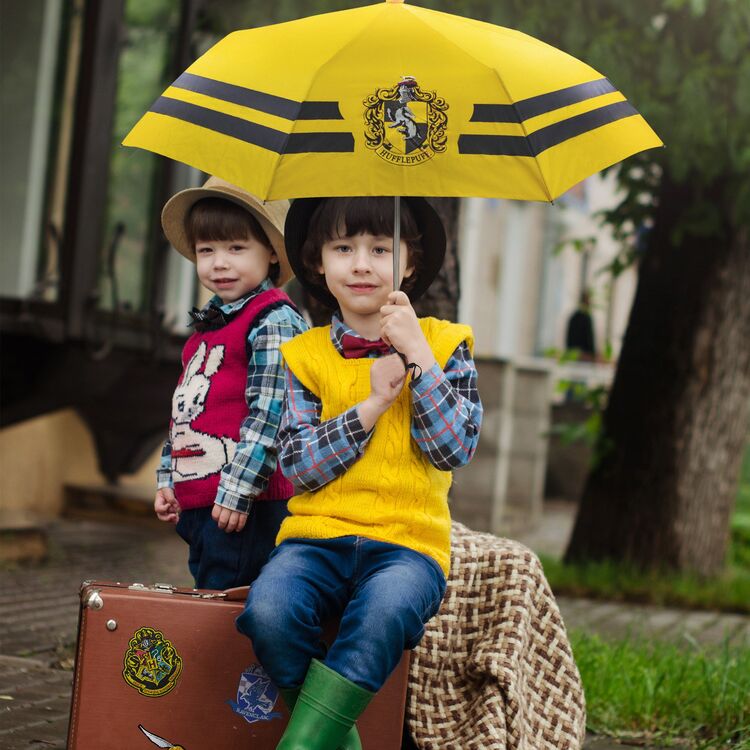 Product Harry Potter Hufflepuff Umbrella image