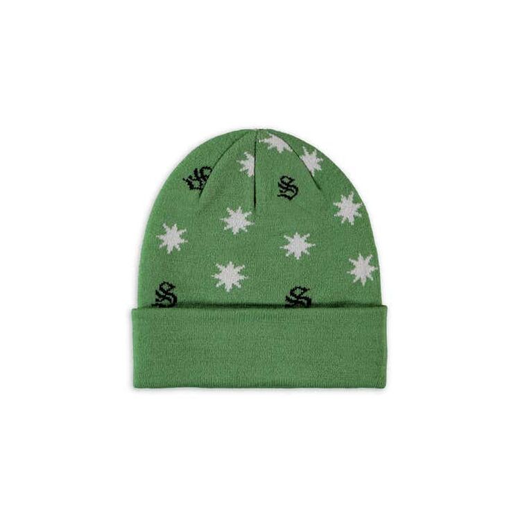 Product Σκουφάκι Harry Potter Slytherin Turn-Up Beanie image