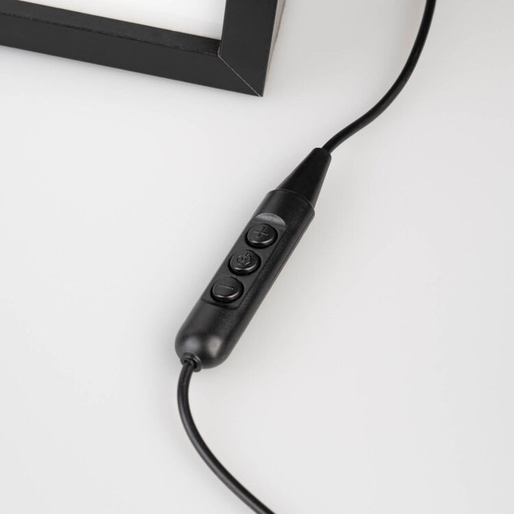 Product Κάδρο με Φώς The Simpsons Homer Framed LED Print image