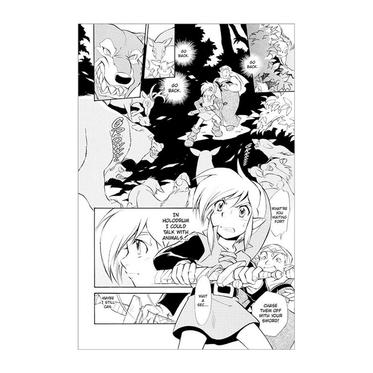 Product Legend Of Zelda Vol.05 image