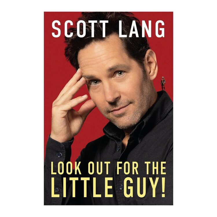 Product Look Out for the Little Guy image