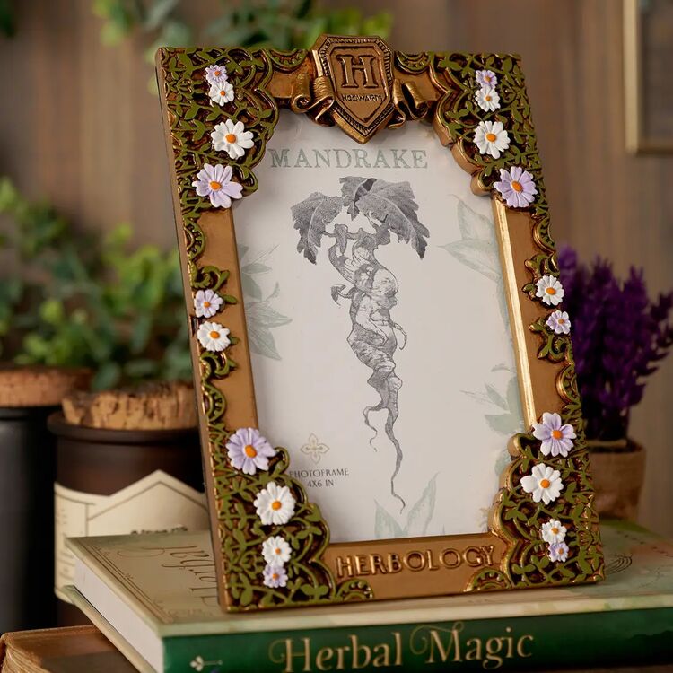 Product Κορνίζα Warner Bros Harry Potter Herbology Frame image
