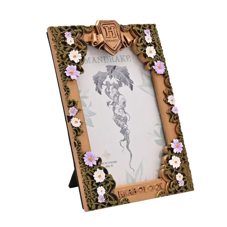 Product Κορνίζα Warner Bros Harry Potter Herbology Frame image