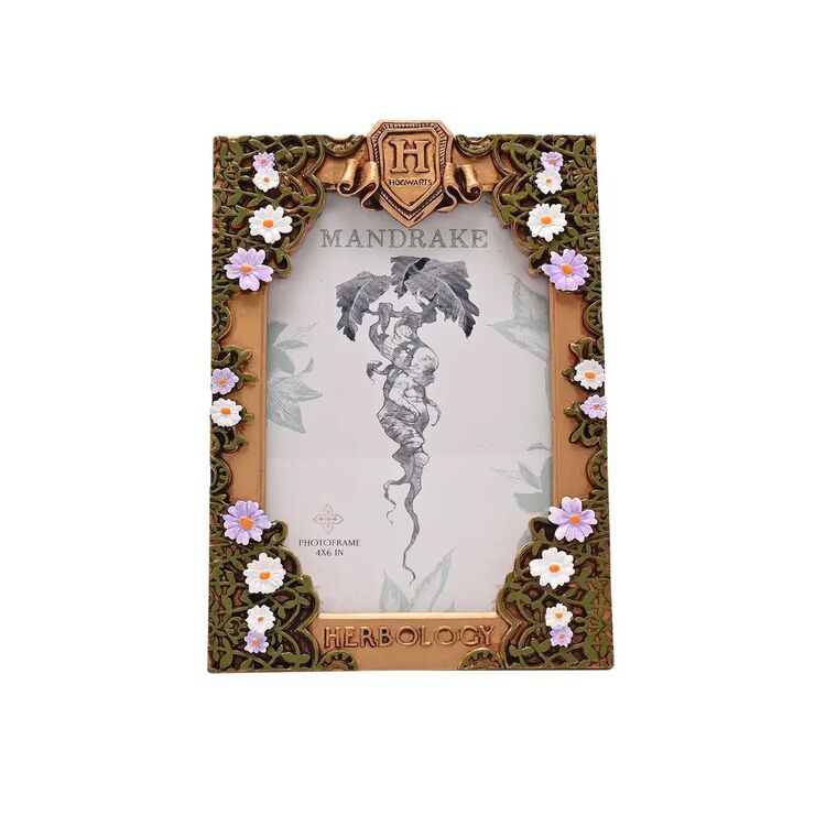 Product Κορνίζα Warner Bros Harry Potter Herbology Frame image