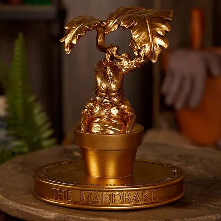 Product Harry Potter Herbology Figurine -Mandrake image