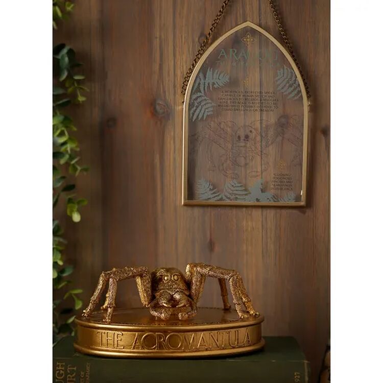 Product Harry Potter Herbology Figurine - Aragog image