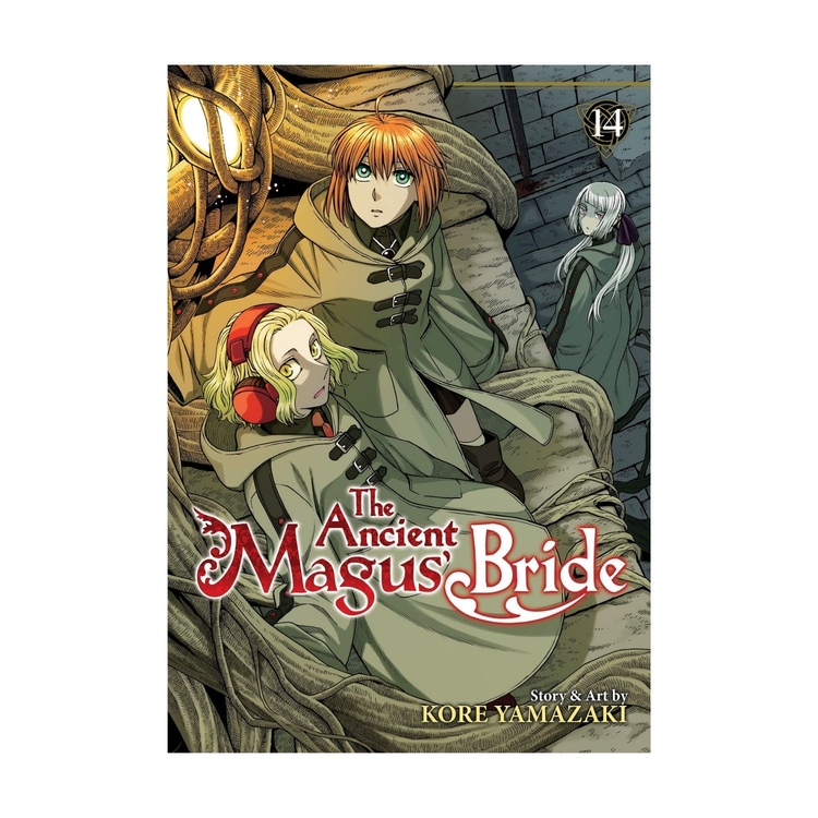 Product The Ancient Magus' Bride Vol. 14 image