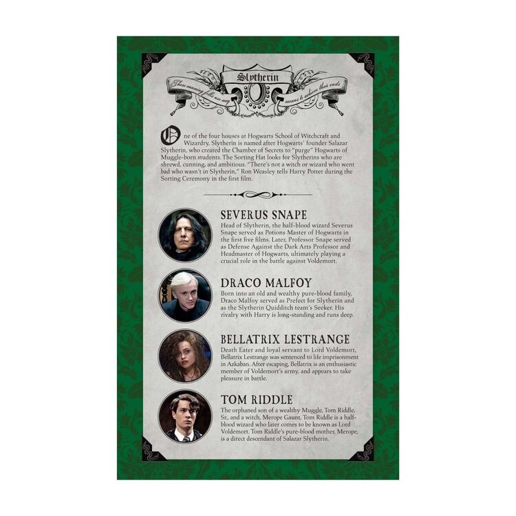 Product Σημειωματάριο Harry Potter Slytherin Ruled image
