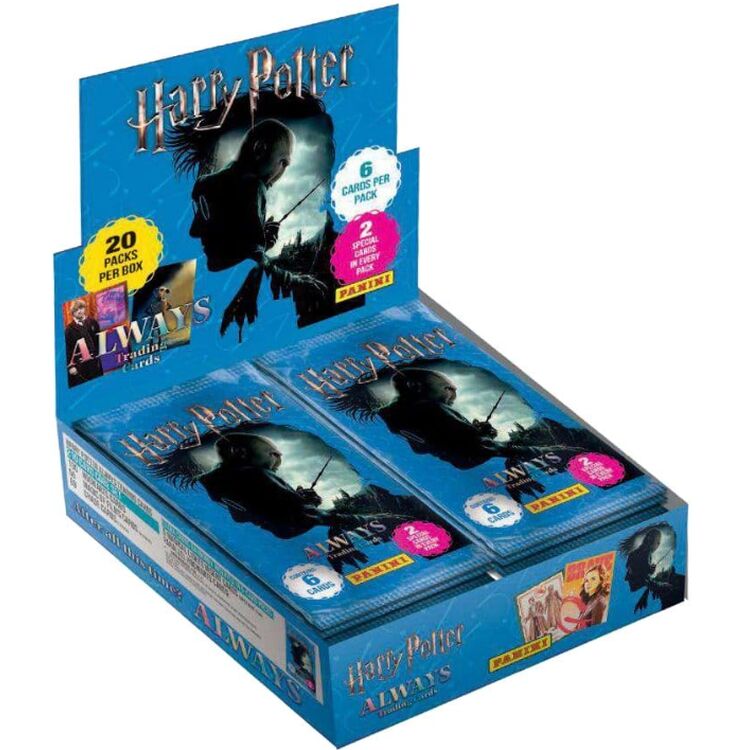 Product Panini Harry Potter (1pc) image