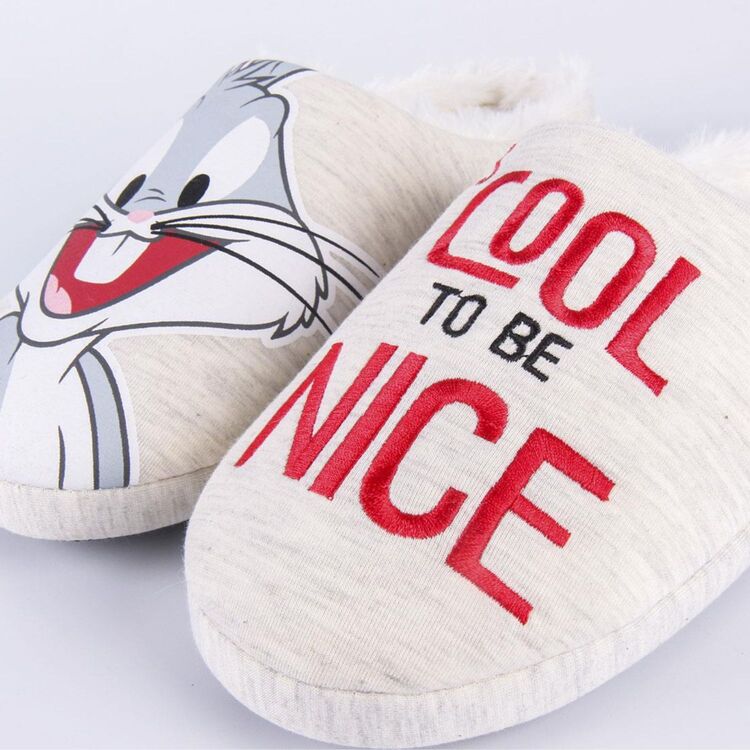 Product Looney Tunes Slippers image